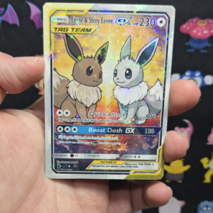 Eevee & Shiny Eevee Tag Team