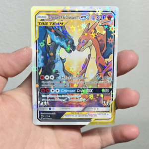 Charizard X & Charizard Y Tag Team